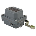 DPST Open Liquid Level Switch Close on Rise 575VAC