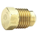 Plug, Brass, Flared 1/2 in,PK10