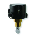 1 in. MNPT SPDT Snap General Purpose Flow Switch 120/240VAC 131 gpm