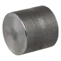 Cap, Stainless Steel, Threaded 1/4 in