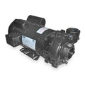 Cast Iron 2 HP Centrifugal Pump 115/208-230V