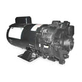 Cast Iron 1-1/2 HP Centrifugal Pump 115/208-230V