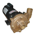 Bronze 3/4 HP Centrifugal Pump 115/230V