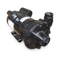 Cast Iron 3 HP Centrifugal Pump 230V