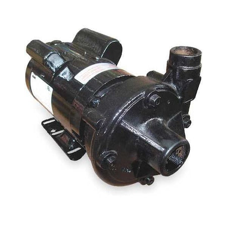 Cast Iron 3 HP Centrifugal Pump 230V