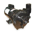 Cast Iron 3/4 HP Centrifugal Pump 115/230V