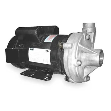 Stainless Steel 2 HP Centrifugal Pump 115/230V