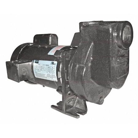 Centrifugal Pump, 1/3 hp, 115/208 to 230V AC, 1 Phase, 45 ft Max Head