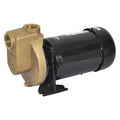 Centrifugal Pump, 1 hp, 208 to 230/460V AC, 3 Phase, 52 ft Max Head