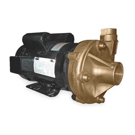 Bronze 2 HP Centrifugal Pump 115/230V