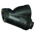 Y Strainer, 3/4" Pipe, FNPT x FNPT, Cast Iron, Stainless Steel,PTFE