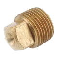Low Lead Brass Solid Square Head Plug, Male NPT, 1/2" Pipe Size