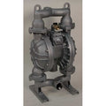 Double Diaphragm Pump, Cast iron, Air Operated, Santoprene, 107 GPM