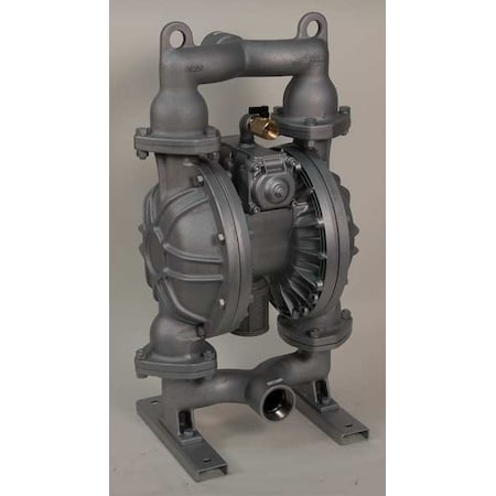 Double Diaphragm Pump, Cast iron, Air Operated, Santoprene, 107 GPM