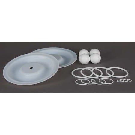 Pump Repair Kit,PTFE,Fluid,1 In.