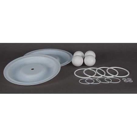Pump Repair Kit,PTFE,Fluid,1 In