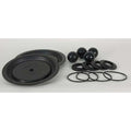 Pump Repair Kit,Fluid,1 In.,For 3HJX2