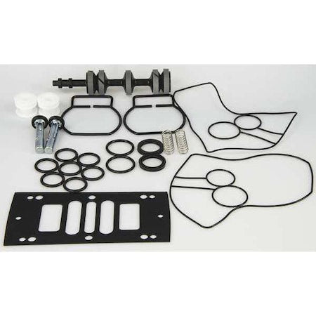 Pump Repair Kit,Buna N,Air,1 In.