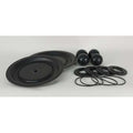 Pump Repair Kit,Santoprene,Fluid,1 In.