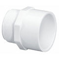PVC Male Adapter, MNPT x Socket, 1-1/4 in Pipe Size
