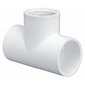 PVC Tee, Socket x Socket x FNPT, 1/2 in Pipe Size