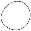 O-Ring Seal Of Volute