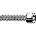 M3-0.50 Socket Head Cap Screw, Socket, Black Oxide Steel, 5 mm Length, 100 PK