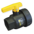 Manual 2-Way Ball Valve,NPT,Polypro