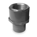 PVC, Brass Transition Adapter, FNPT x SPG, 1-1/2 in Pipe Size