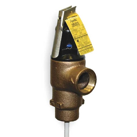 T and P Relief Valve,MNPT x FNPT