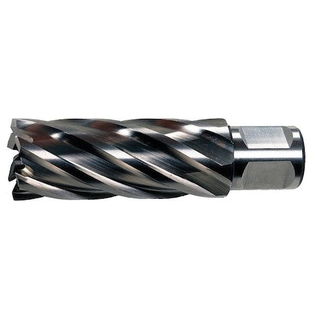Annular Cutter, HSS, 1-3/8 dia., 3D