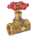 Stop and Waste Valve,Brass,IPS,1/2 in.
