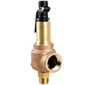 Safety Relief Valve,1 x 1-1/4,150 psi