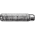 ScktStScrw,DogPt,M3-0.5,12mm L,PK100