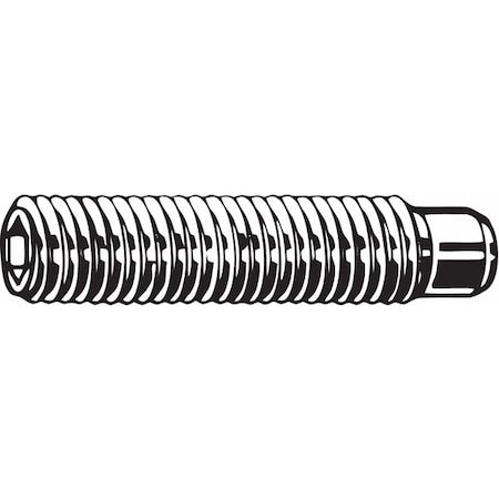 ScktStScrw,DogPt,M3-0.5,12mm L,PK100