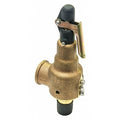 Safety Relief Valve,1-1/2in.x2in.,50 psi