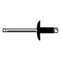 Blind Rivet, Flanged Head, 3/16 in Dia., 29/64 in L, Stainless Steel Body, 250 PK
