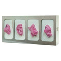 Glove Dispenser, Stainless Steel, Holds (4) Boxes ,Silver ,10 in H x 21-1/8 in W x 4 in D