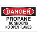 Danger No Smoking Sign, 10 in Height, 14 in Width, Vinyl, English