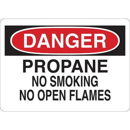 Danger No Smoking Sign, 10 in Height, 14 in Width, Vinyl, English