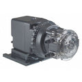 PeristalticChemMeteringPump,22gpd,25psi