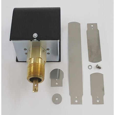 Flow Switch,1 In SPDT