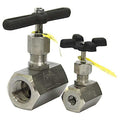 Globe Valve,1",Steel,FNPT,10,000 psi