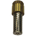 3/4" FNPT Low Lead Brass Spring Foot Valve