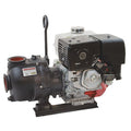 Wet Seal Pump,Carbon Ceramic,Mnfld,3"