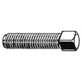 Socket Set Screw, Cup, 5/16-18x2, PK100