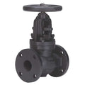 Globe Valve,2-1/2",Iron,Flange,125 psi