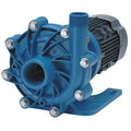 3 HP PP Magnetic Drive Pump 208-230/460V 2" FNPT
