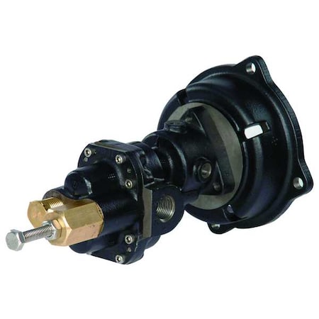 RotaryGearPmpHead,CI,1/4"InletDia,125psi