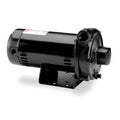 Cast Iron 3/4 HP Centrifugal Pump 208-230/460V